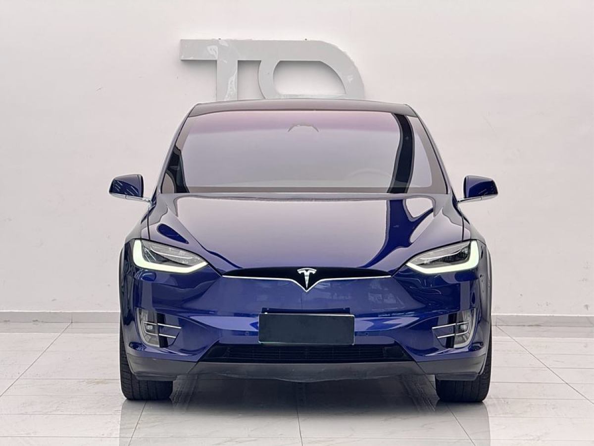 2019年9月特斯拉 Model X  2019款 長(zhǎng)續(xù)航版