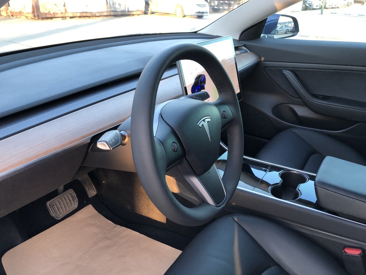 特斯拉 Model 3  2019款 標(biāo)準(zhǔn)續(xù)航后驅(qū)升級(jí)版圖片