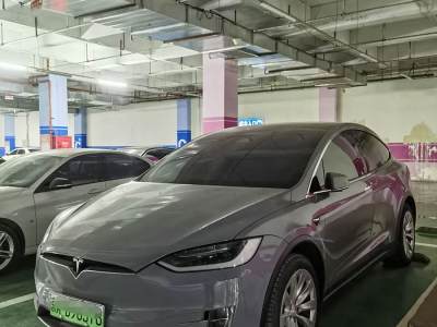 2019年1月 特斯拉 Model X Model X 100D 長續(xù)航版圖片