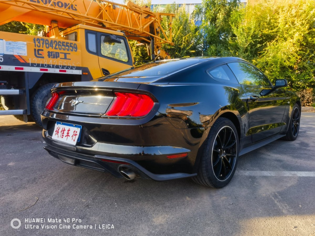 福特 Mustang  2019款 2.3L EcoBoost圖片