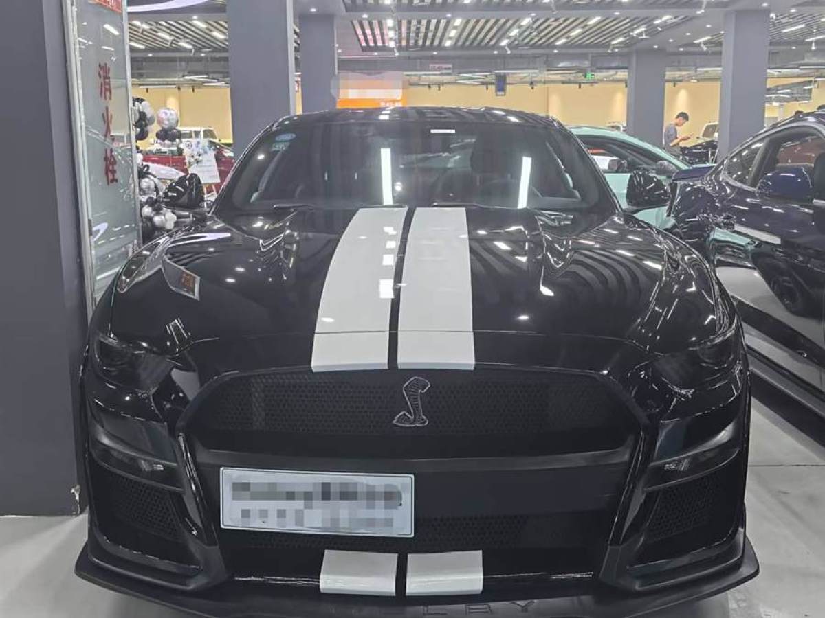 福特 Mustang  2015款 2.3T 性能版圖片