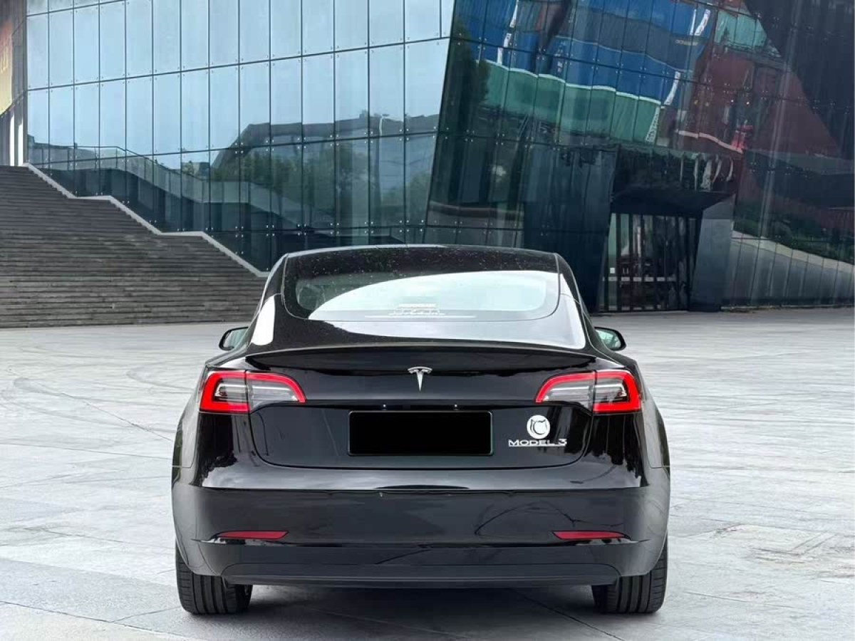 特斯拉 Model 3  2021款 改款 Performance高性能全輪驅(qū)動版圖片
