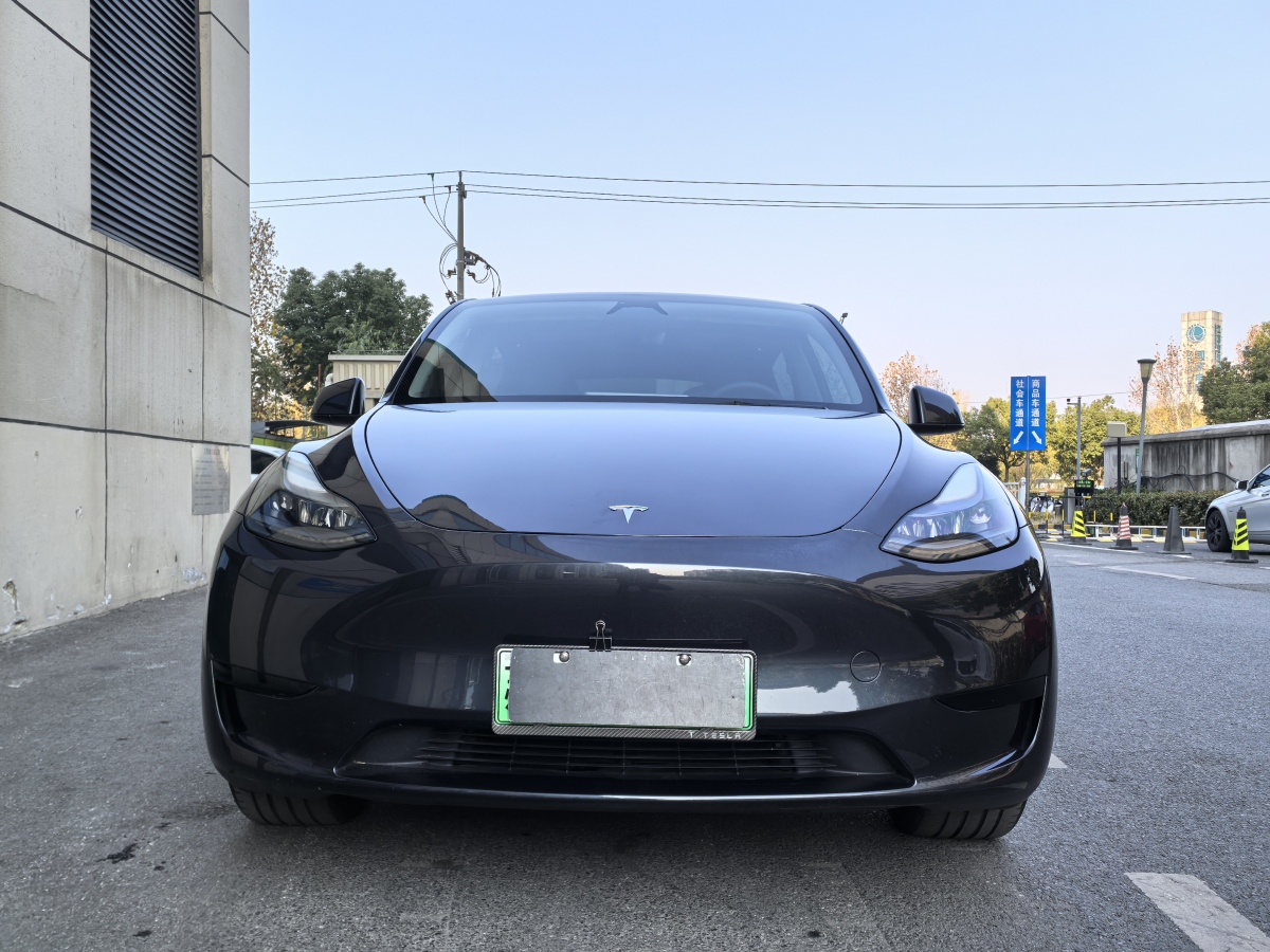 特斯拉 Model 3  2020款 改款 長續(xù)航后輪驅(qū)動版圖片