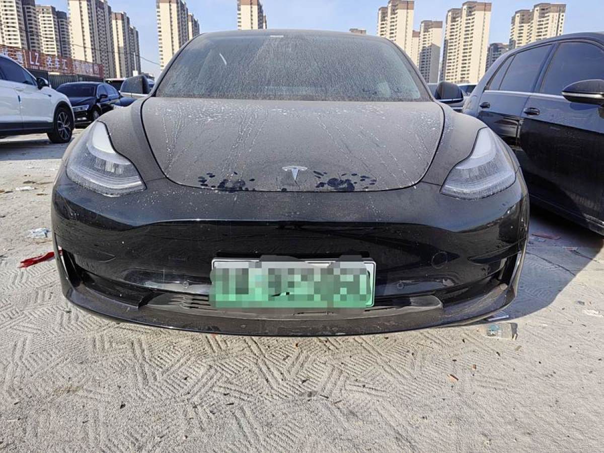 特斯拉 Model 3  2021款 改款 標(biāo)準(zhǔn)續(xù)航后驅(qū)升級(jí)版圖片