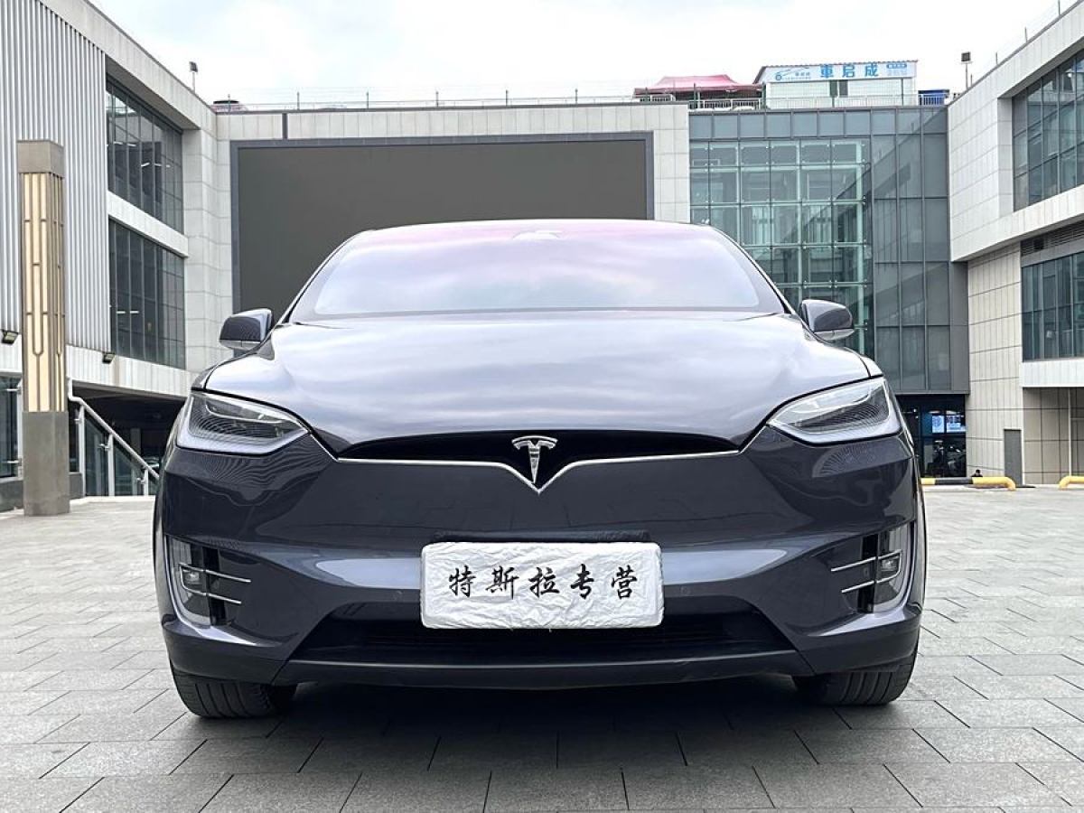 特斯拉 Model X  2019款 長續(xù)航版圖片