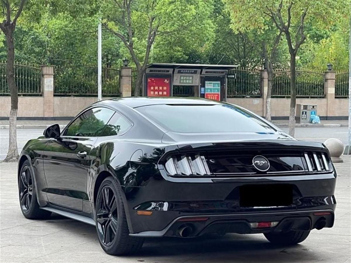 福特 Mustang  2015款 2.3T 性能版圖片