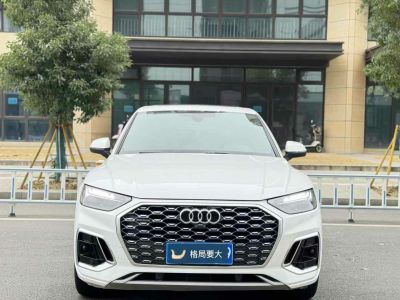 2022年1月 奧迪 奧迪Q5 e-tron 40 e-tron 星耀型 機(jī)甲套裝圖片