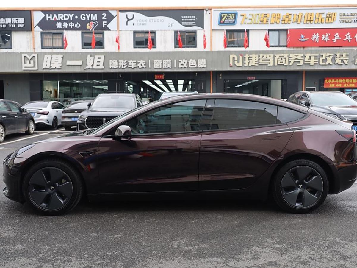 特斯拉 Model 3  2019款 標(biāo)準(zhǔn)續(xù)航后驅(qū)升級(jí)版圖片