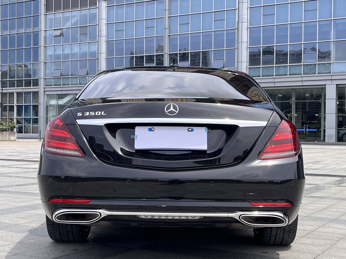 奔驰 奔驰S级  2019款 S 350 L 尊贵型 臻藏版图片