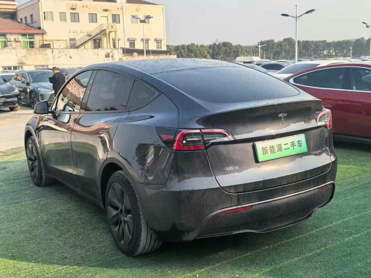 特斯拉 Model Y  2024款 Performance高性能版圖片