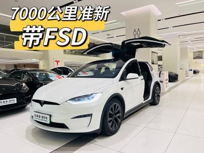 2023年8月 特斯拉 Model X 雙電機(jī)全輪驅(qū)動(dòng)版圖片