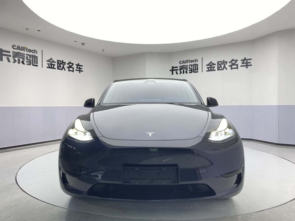 特斯拉 Model Y  2020款 改款 长续航后轮驱动版图片