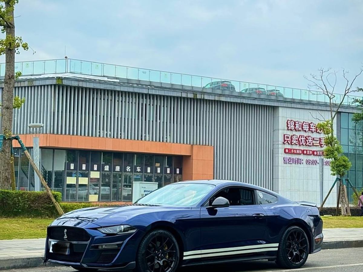 福特 Mustang  2020款 2.3L EcoBoost圖片