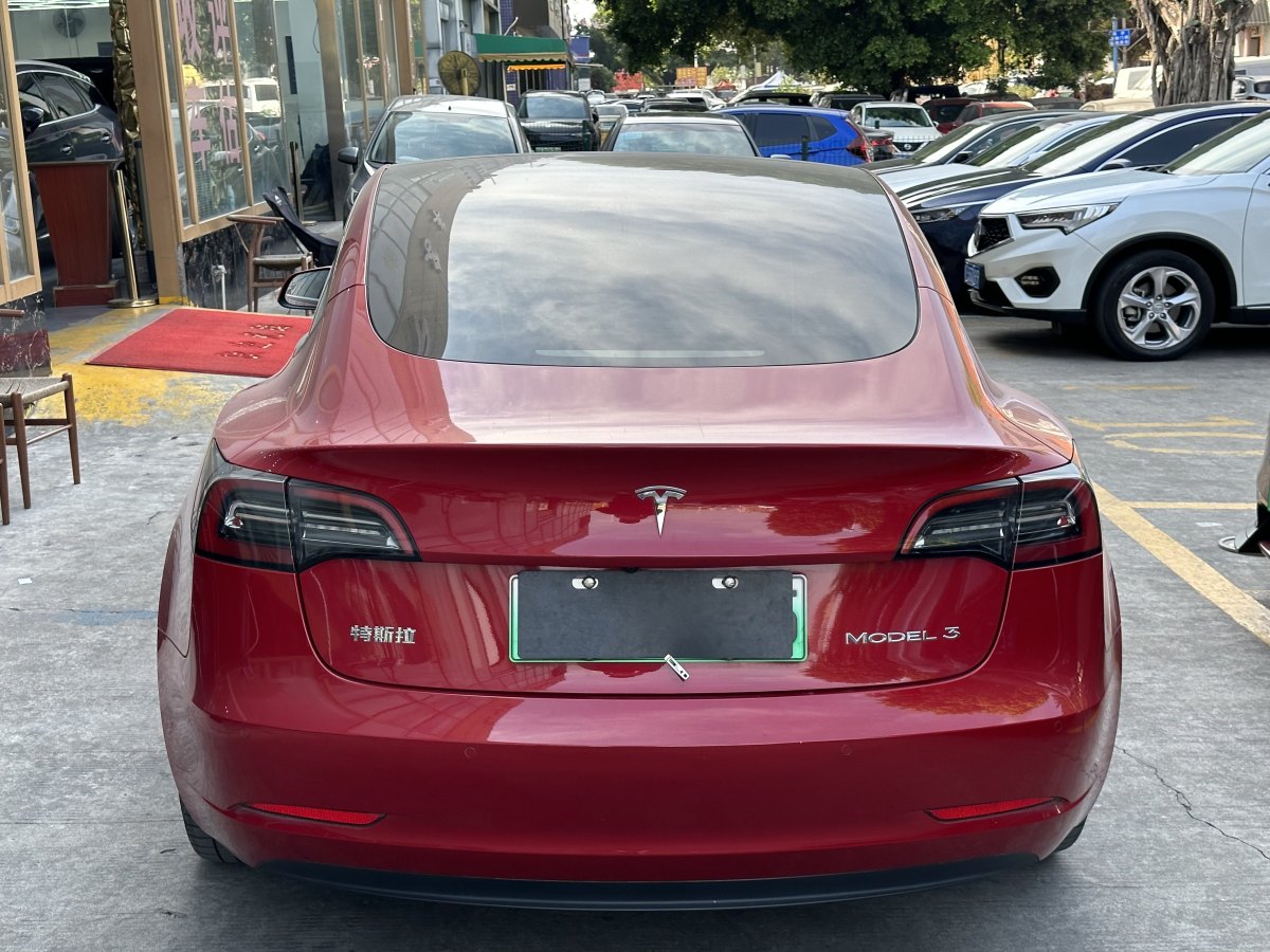 特斯拉 Model 3  2021款 標(biāo)準(zhǔn)續(xù)航后驅(qū)升級(jí)版 3D6圖片