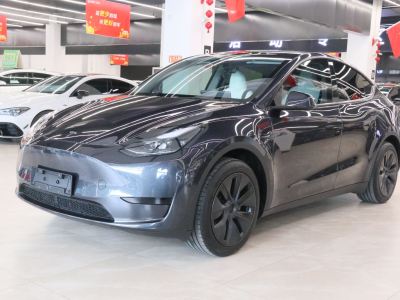 2024年9月 特斯拉 Model Y 2024款 后輪驅(qū)動版圖片