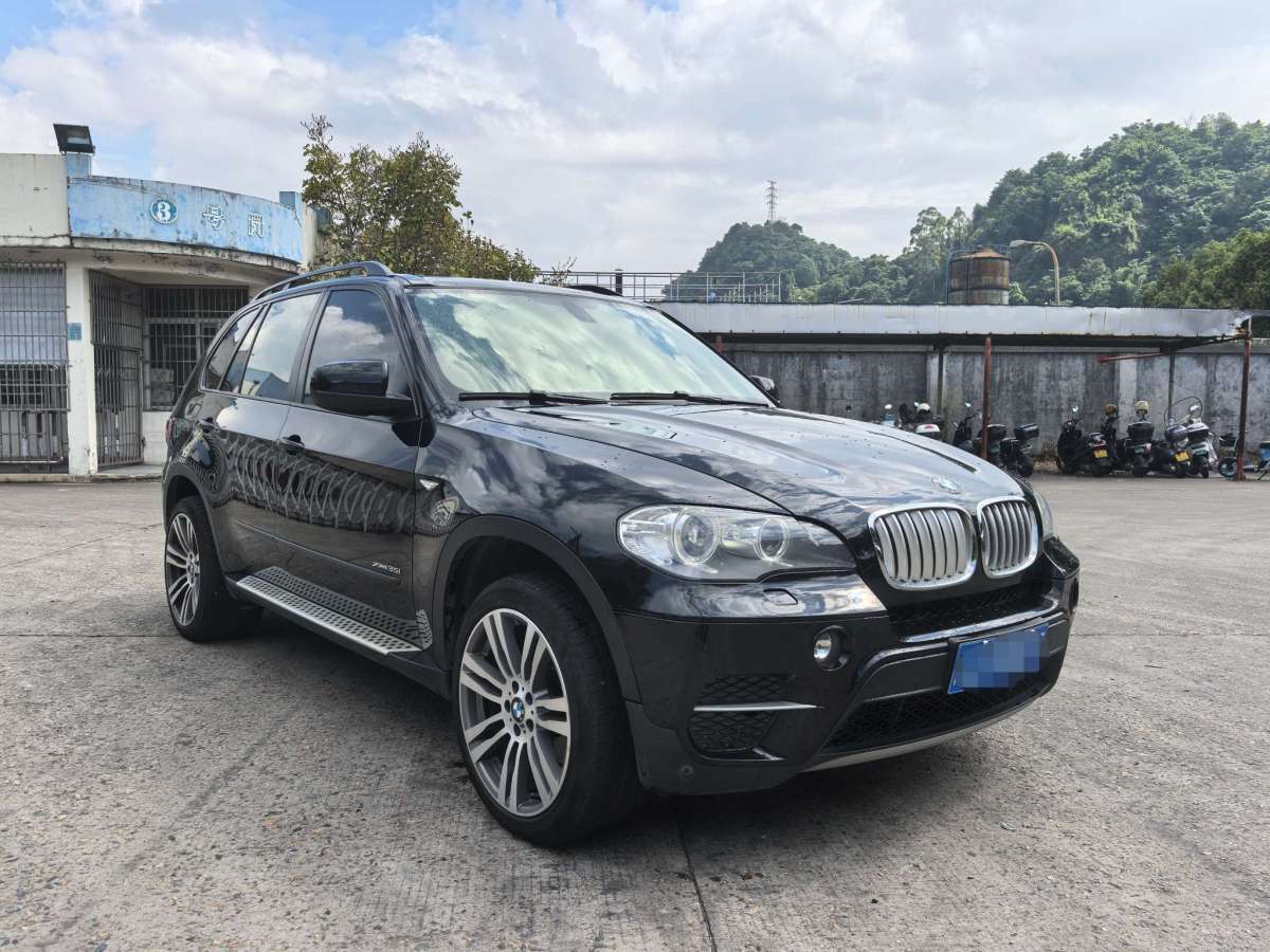 寶馬 寶馬X5  2011款 xDrive35i 領(lǐng)先型圖片