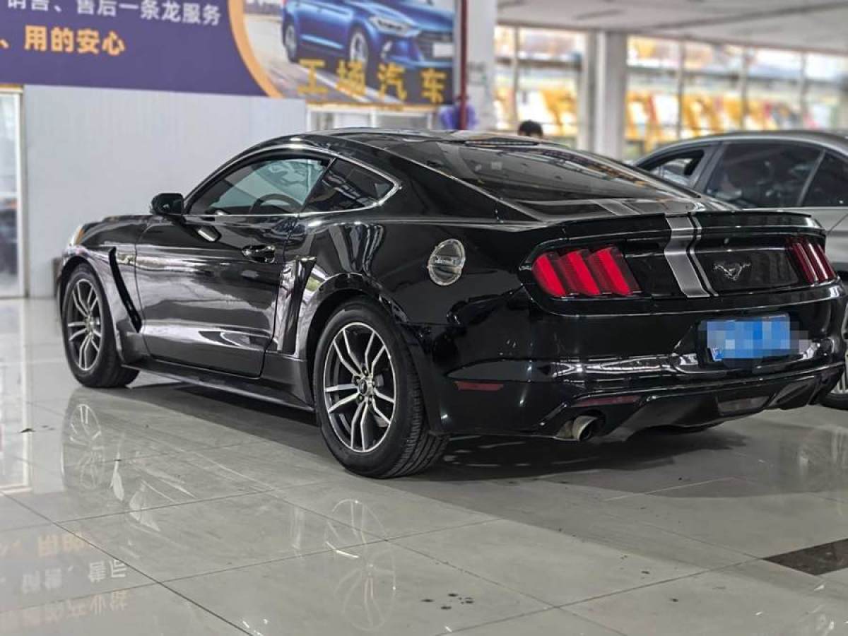 福特 Mustang  2015款 2.3T 性能版圖片