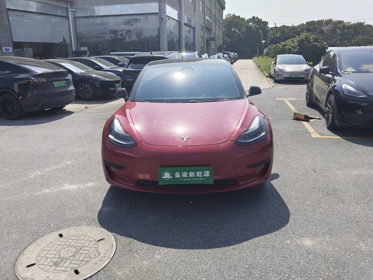 2021年3月特斯拉 Model Y  2021款 標(biāo)準(zhǔn)續(xù)航后驅(qū)升級(jí)版 3D6