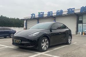 Model Y 特斯拉 改款 长续航后轮驱动版