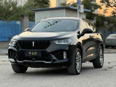 2019年10月 WEY VV5 升級(jí)款 2.0T 兩驅(qū)旗艦型圖片