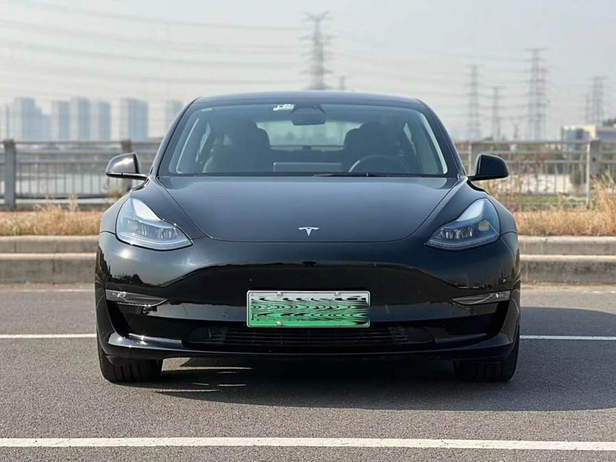 特斯拉 Model 3  2022款 Performance高性能全輪驅(qū)動版圖片