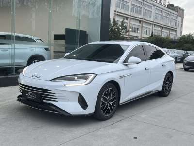 2023年11月 比亚迪 海豹 DM-i 1.5L 121km 尊贵型图片