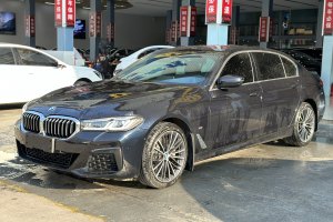 宝马5系 宝马 530Li 领先型 M运动套装