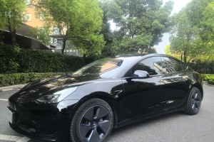 Model 3 特斯拉 標(biāo)準(zhǔn)續(xù)航后驅(qū)升級(jí)版 3D6