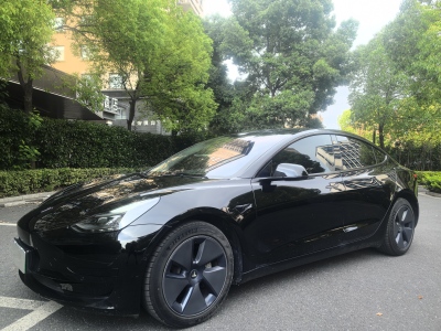 2021年12月 特斯拉 Model 3 標(biāo)準(zhǔn)續(xù)航后驅(qū)升級(jí)版 3D6圖片
