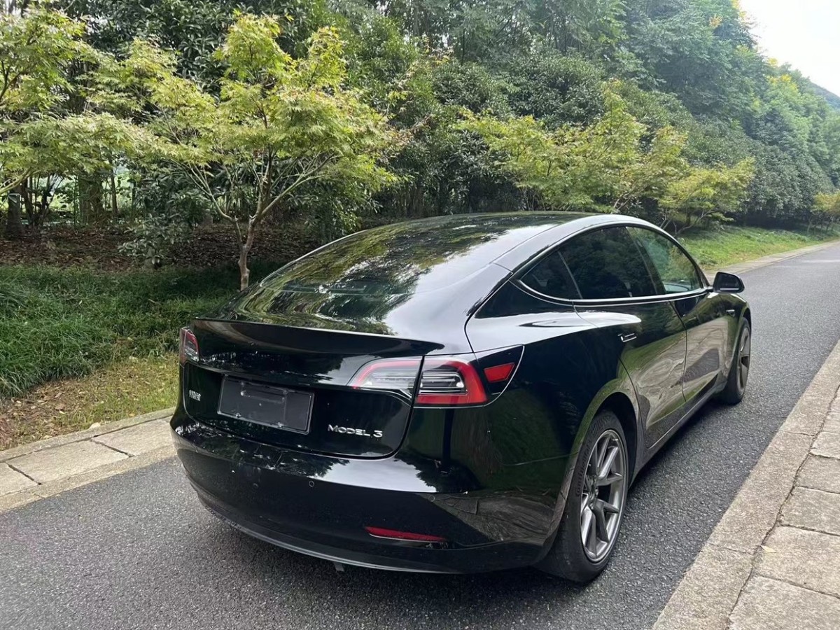 特斯拉 Model 3  2022款 改款 后輪驅(qū)動(dòng)版圖片