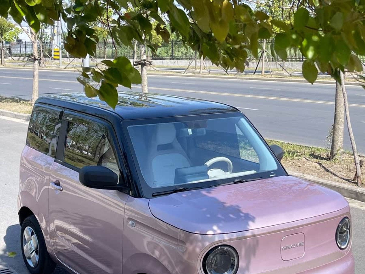 吉利 熊貓mini  2023款 200km 小黃鴨限定版 幸運吖圖片