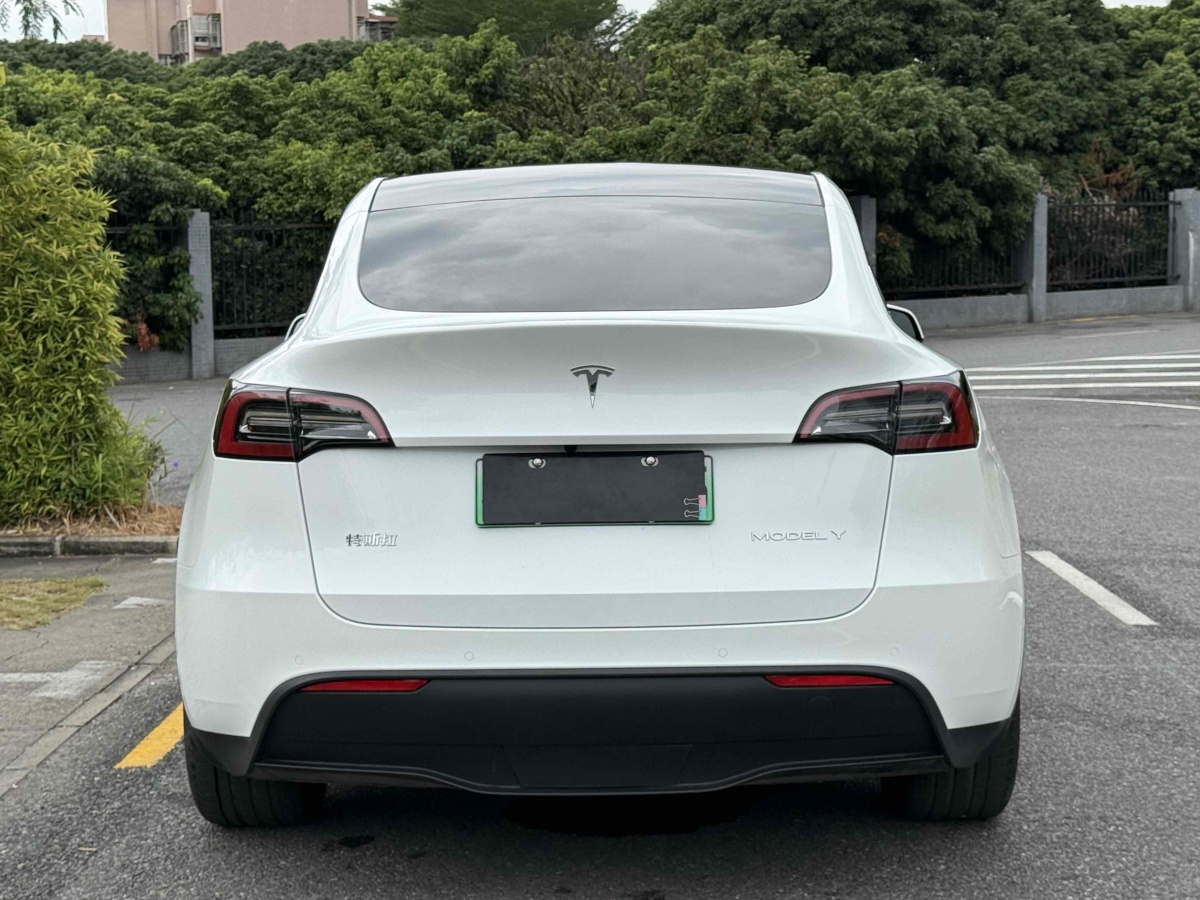 特斯拉 Model Y  2020款 改款 長續(xù)航后輪驅(qū)動版圖片