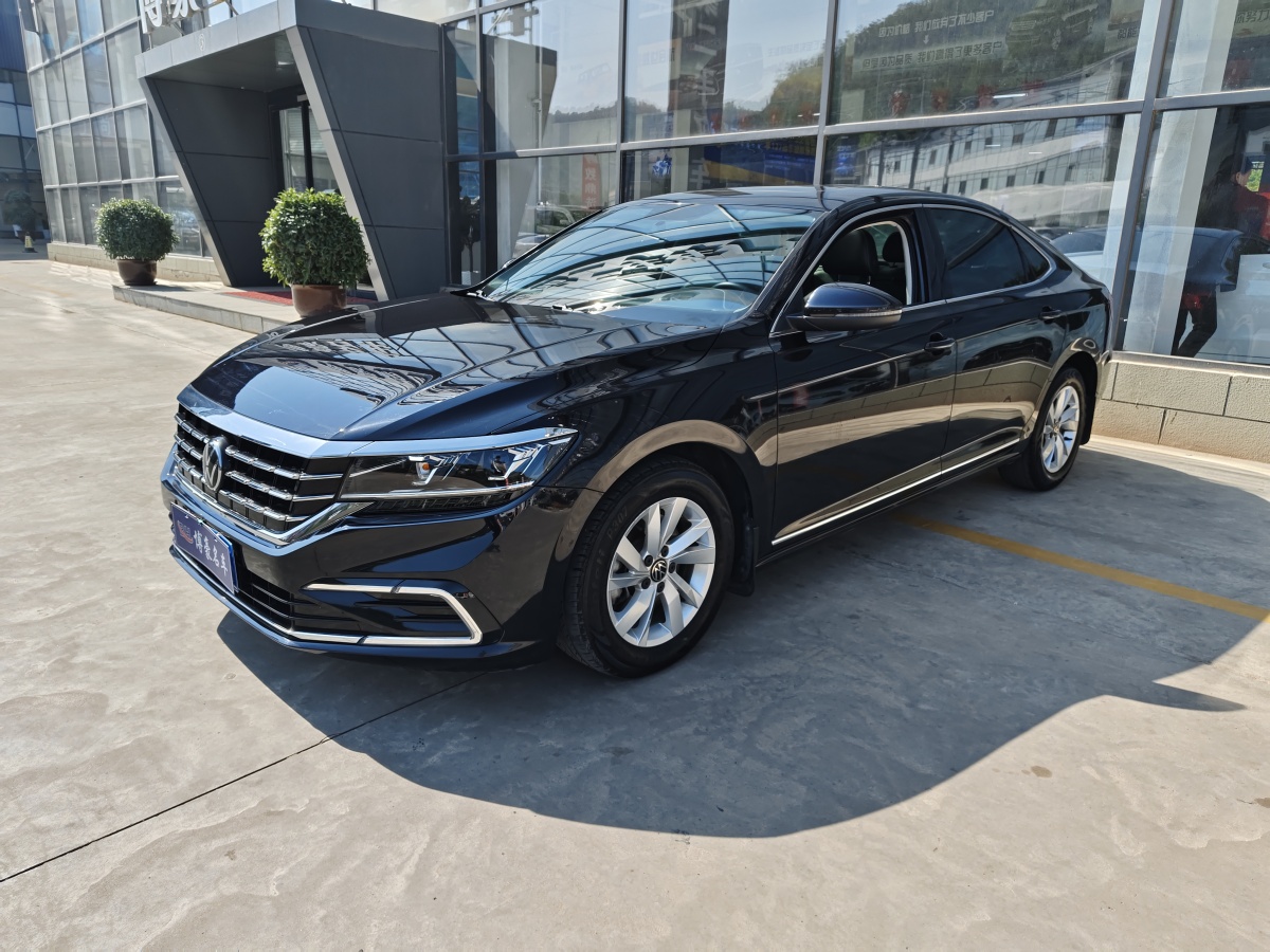 大眾 帕薩特  2021款 280TSI 商務(wù)版圖片