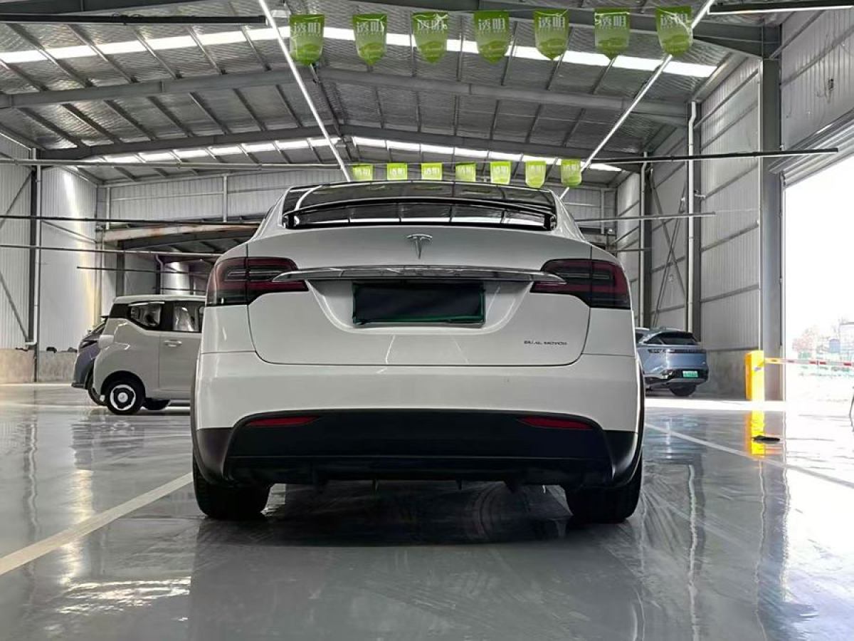 特斯拉 Model X  2019款 長(zhǎng)續(xù)航版圖片