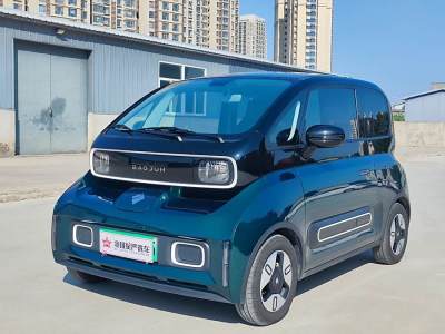 2023年4月 寶駿 寶駿KiWi EV 設(shè)計(jì)師輕享版 三元鋰圖片