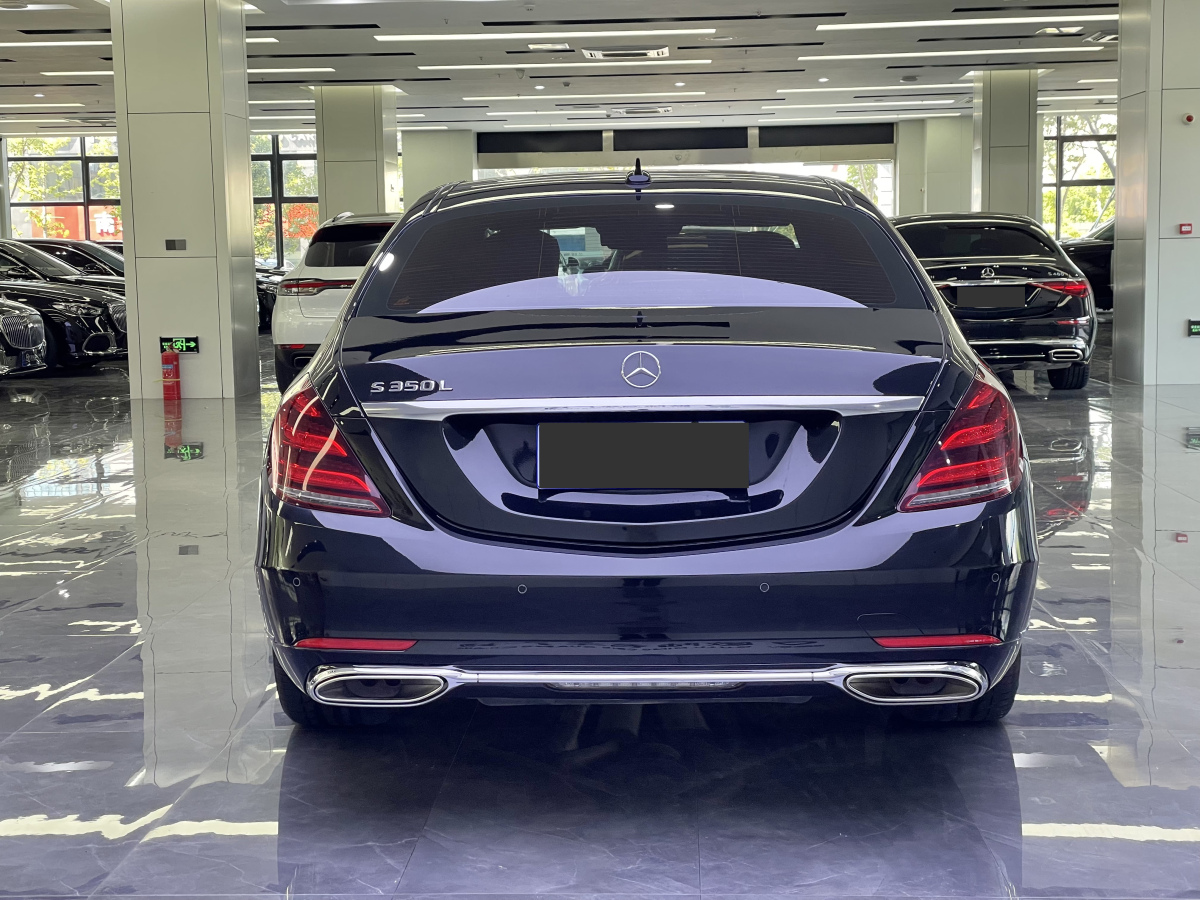 奔驰 奔驰S级  2020款 S 350 L 尊享型 臻藏版图片