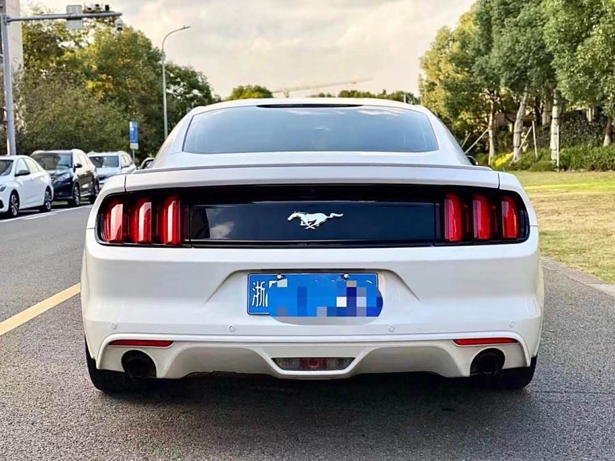 福特 Mustang  2017款 2.3T 性能版圖片