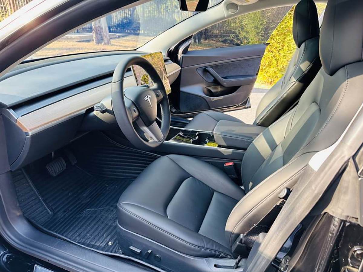 特斯拉 Model 3  2019款 標(biāo)準(zhǔn)續(xù)航后驅(qū)升級(jí)版圖片