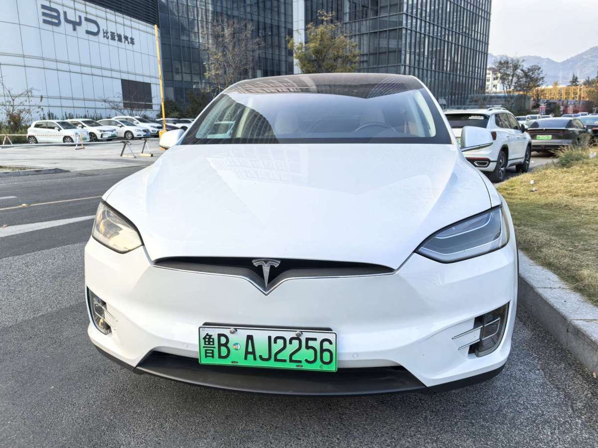 特斯拉 Model X  2016款 Model X 75D圖片