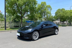 Model 3 特斯拉 改款 標(biāo)準(zhǔn)續(xù)航后驅(qū)升級(jí)版