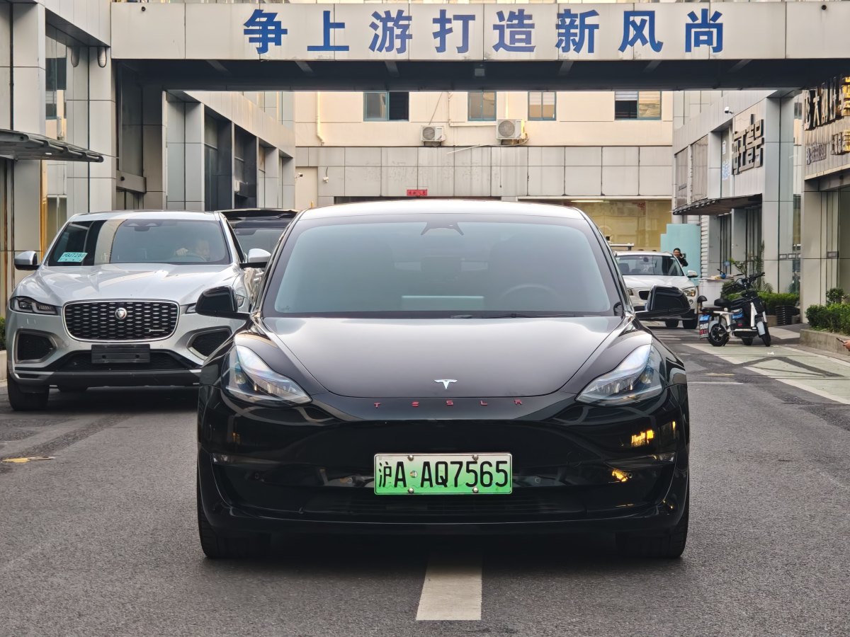 特斯拉 Model 3  2019款 Performance高性能全輪驅(qū)動版圖片