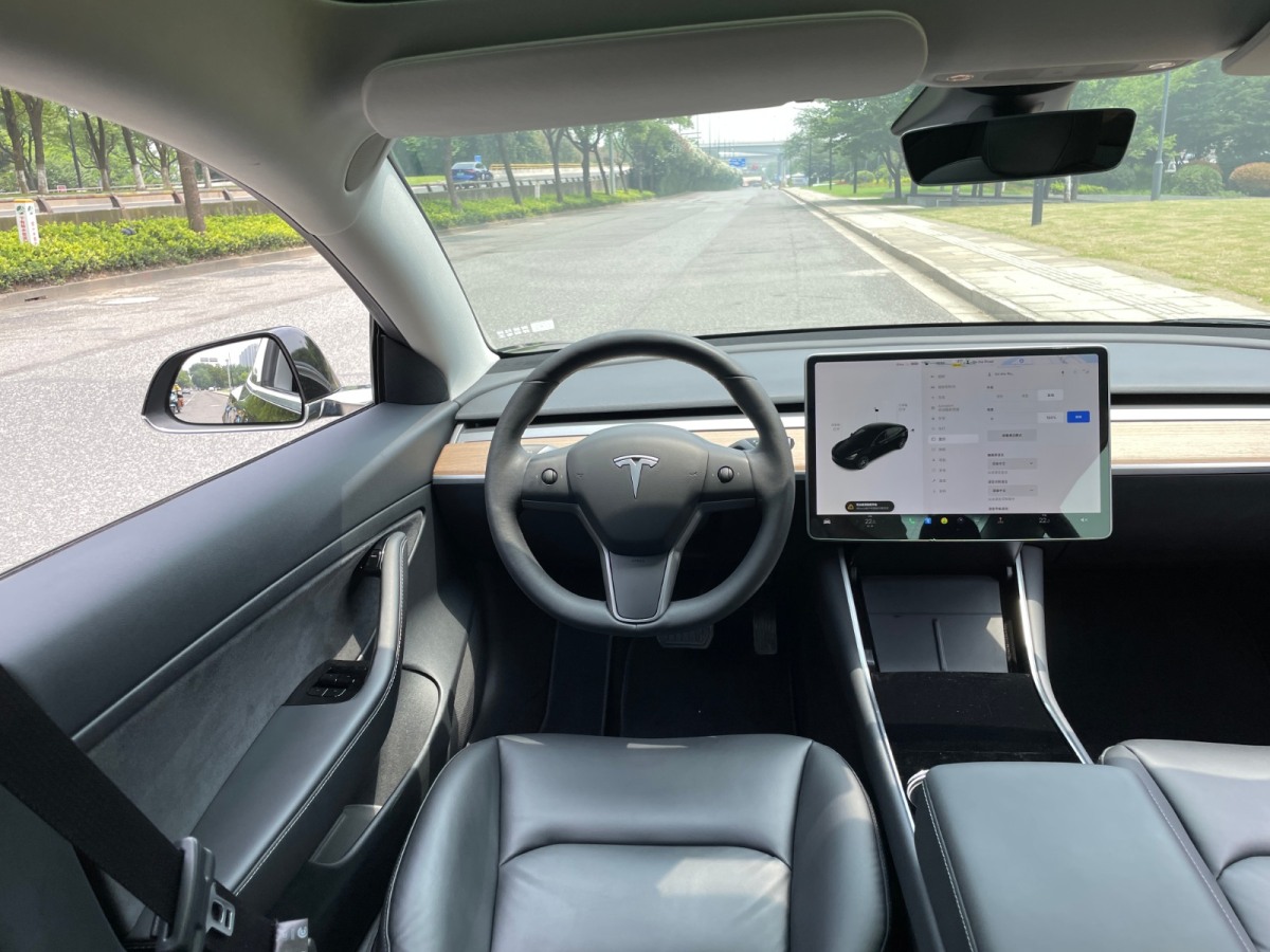 特斯拉 model 3 2019款 標準續航後驅升級版圖片