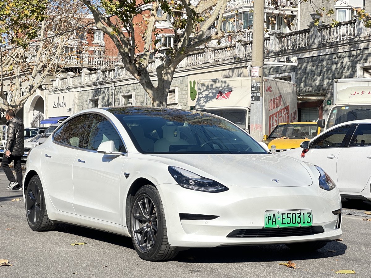 特斯拉 Model 3  2019款 標(biāo)準(zhǔn)續(xù)航后驅(qū)升級(jí)版圖片