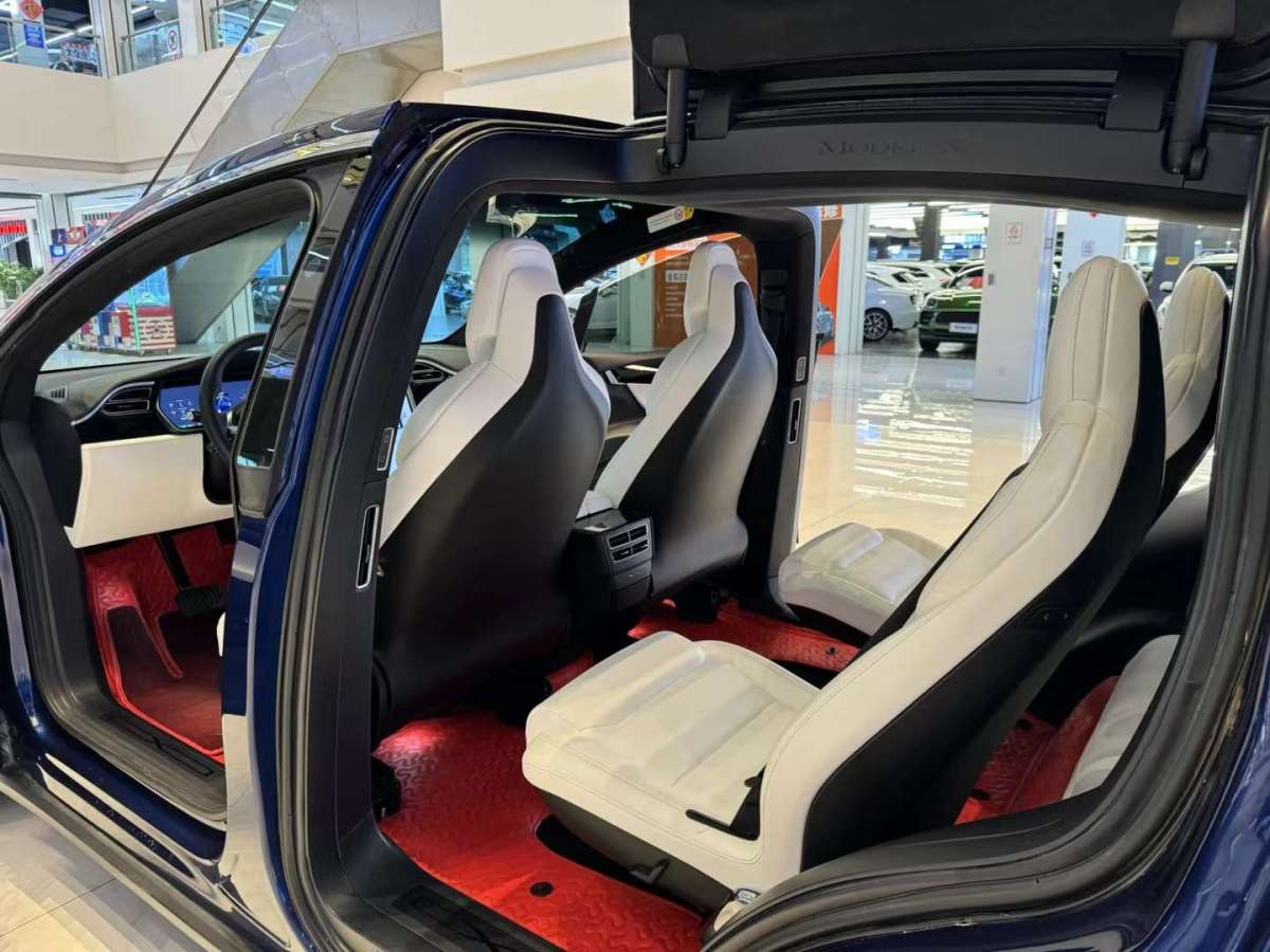 2019年6月特斯拉 Model X  2019款 长续航版