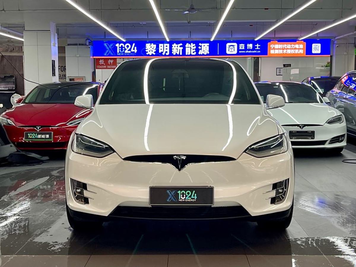 特斯拉 Model X  2019款 長續(xù)航版圖片