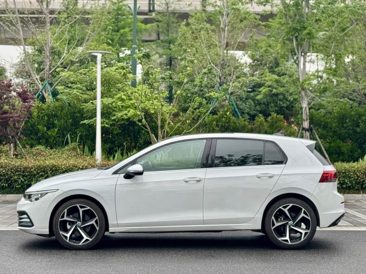 大眾 高爾夫  2021款 280TSI DSG Pro圖片