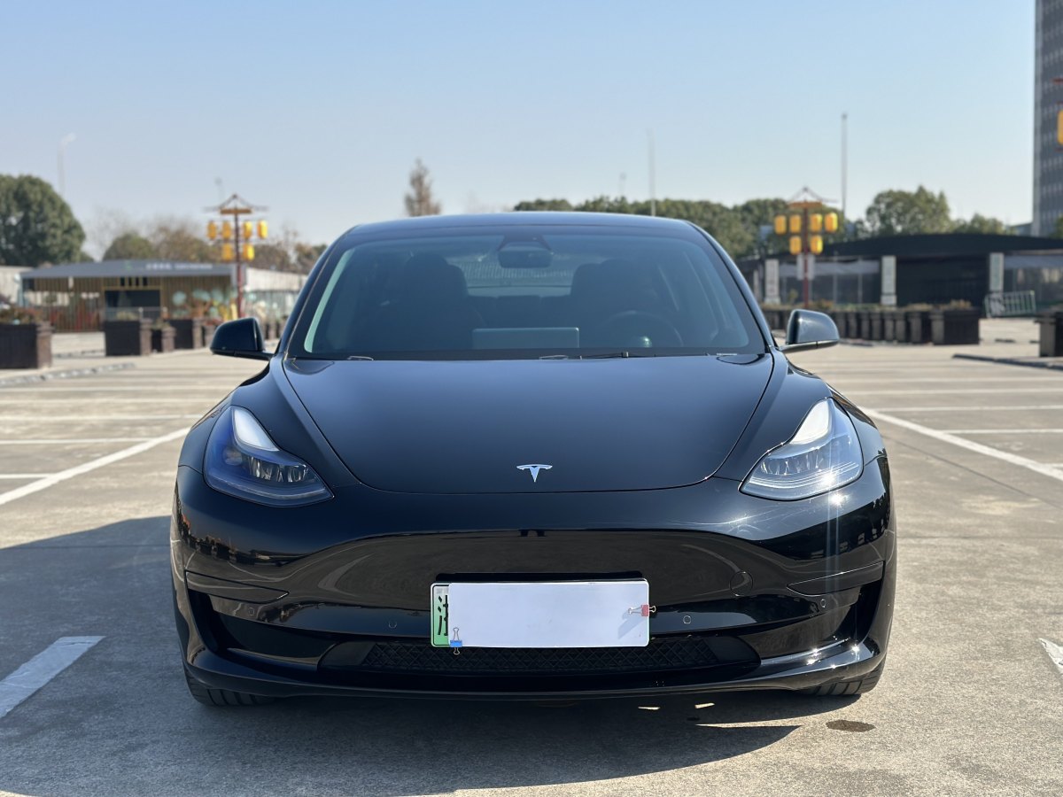 特斯拉 Model 3  2019款 標準續(xù)航后驅升級版圖片