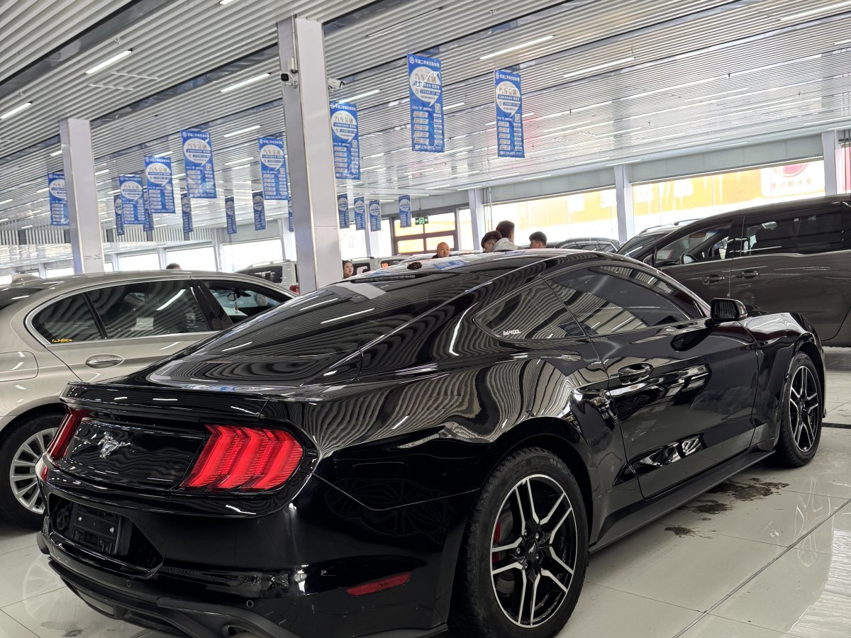 福特 Mustang  2019款 2.3L EcoBoost圖片