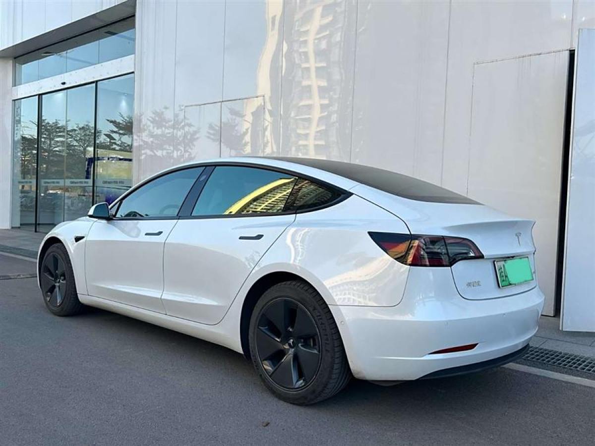 特斯拉 Model 3  2021款 標(biāo)準(zhǔn)續(xù)航后驅(qū)升級(jí)版 3D6圖片