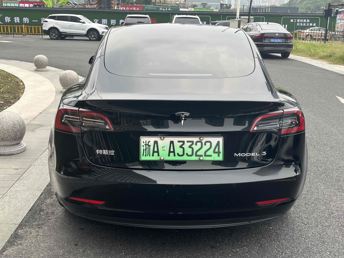 特斯拉 Model Y  2021款 標(biāo)準(zhǔn)續(xù)航后驅(qū)升級(jí)版 3D6圖片